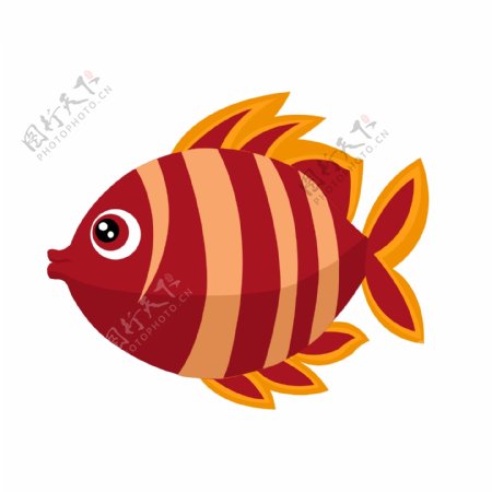 红色小鱼动物