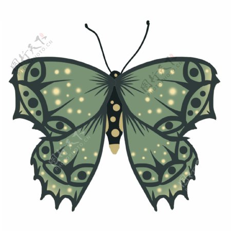 绿黄色蝴蝶