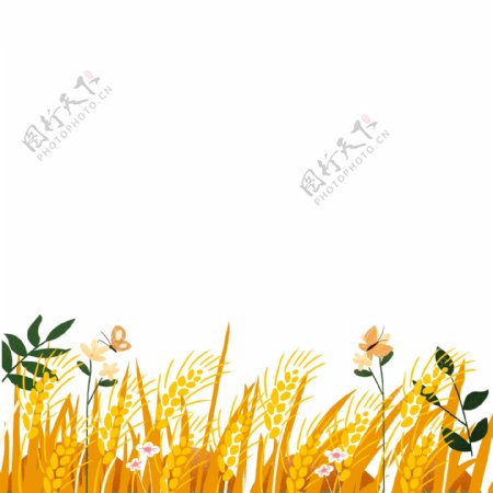 夏季麦穗熟了图案元素