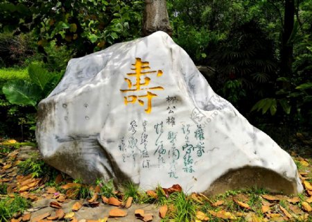 寿文化景观石