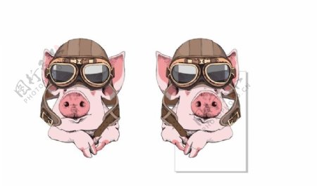 超级可爱飞行员猪猪头像矢量图案