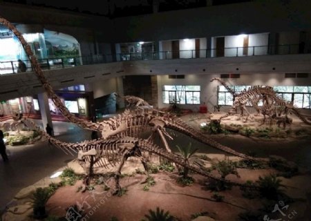 自贡恐龙恐龙博物馆