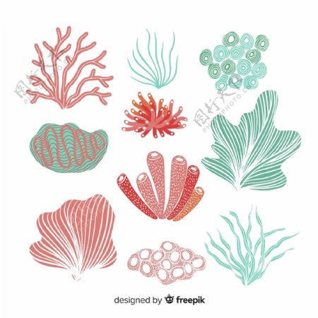 珊瑚图标