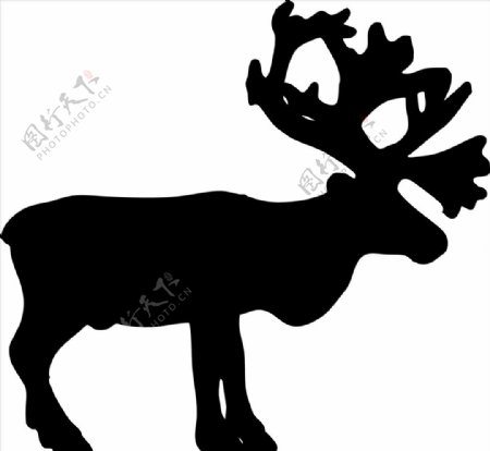 野生动物系列驯鹿圣诞鹿