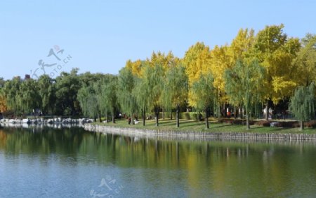 陶然亭风景