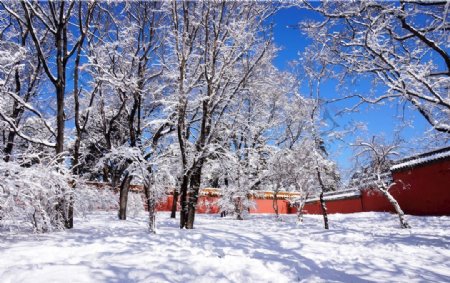 雪后的紫禁城一角风景实拍