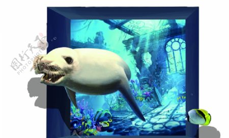 3D海狗