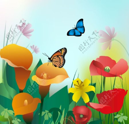 花朵上的蝴蝶插画