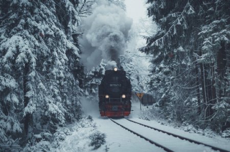 冬天火车轨道森林树木