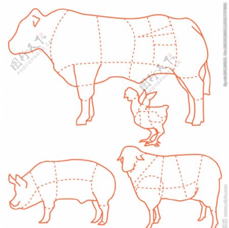 猪牛羊鸡食用肉切割分布图