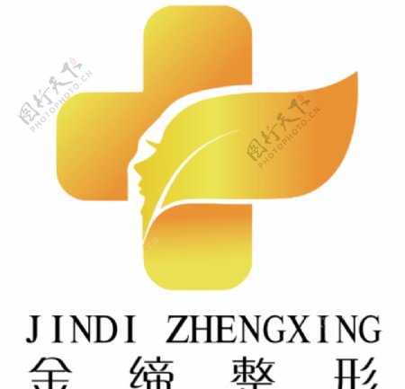 金缔整形logo