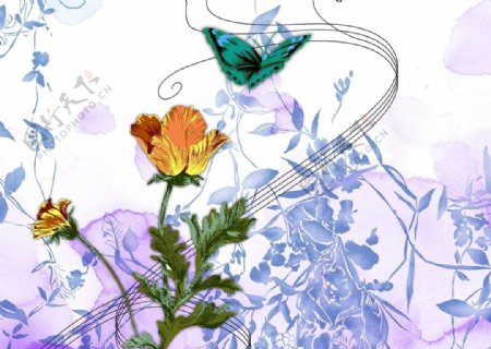 蝴蝶和黄色花朵手绘