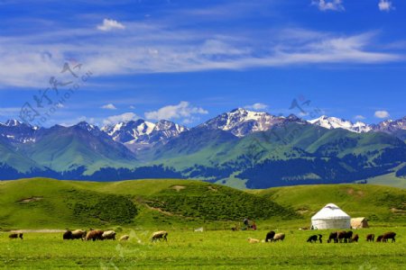蒙古包草原风景