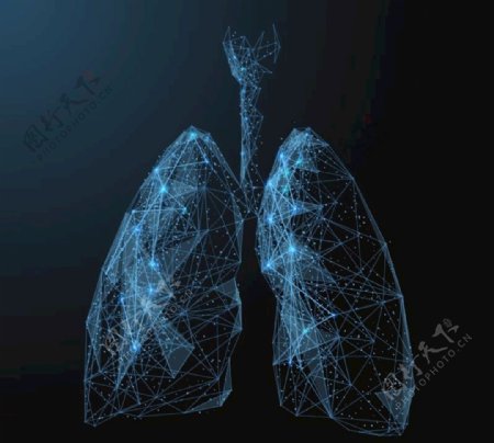 科技线条肺部轮廓矢量素材