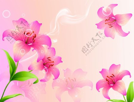 百合