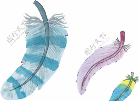 小清新水彩绘画羽毛