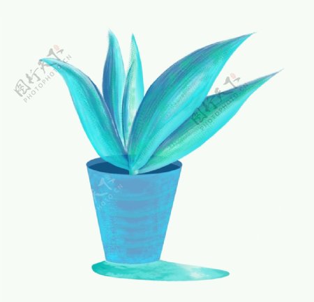 清新蓝色植物盆栽插图