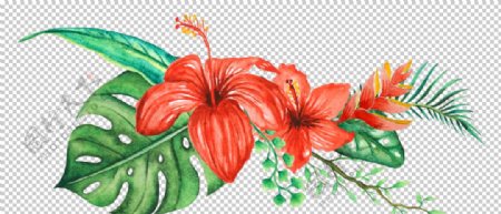 清新水彩植物花朵插画