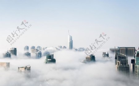 迷雾与城市