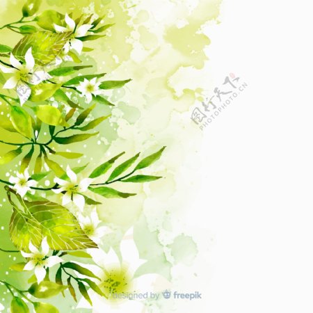 水彩绘绿色树叶白色花卉