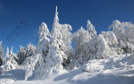 雪中的山林