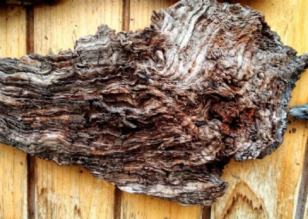 老木头老木纹干枯的树木头
