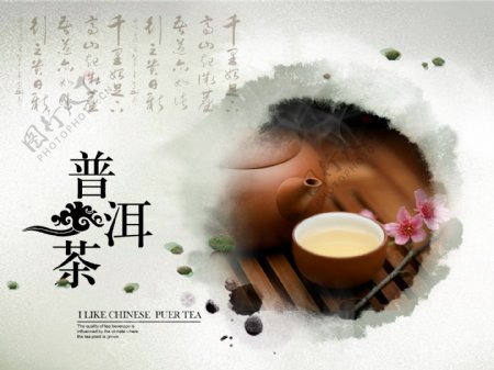 普洱茶