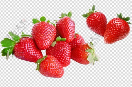 草莓大草莓