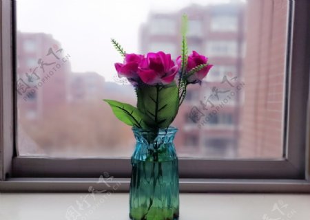 窗前的花瓶插花