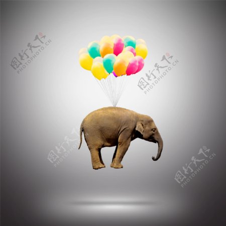 气球拉起的大象的成就概念