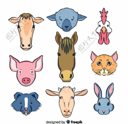 9款创意农场动物头像