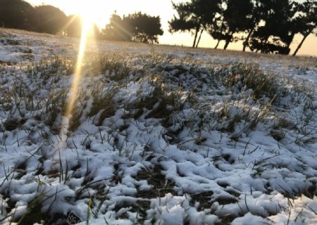 雪后草地