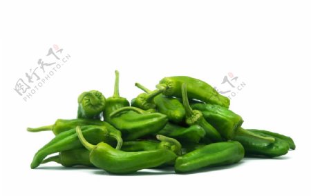 绿色蔬菜青椒高清摄影