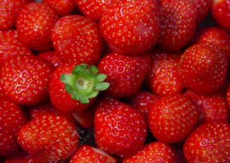 草莓蓝莓红色草莓奶油草莓