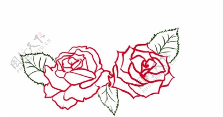 玫瑰花线稿