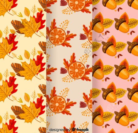 3款彩色秋季树叶橡子