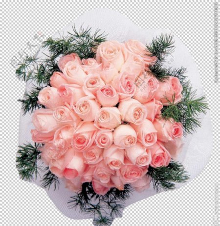 玫瑰花装饰素材