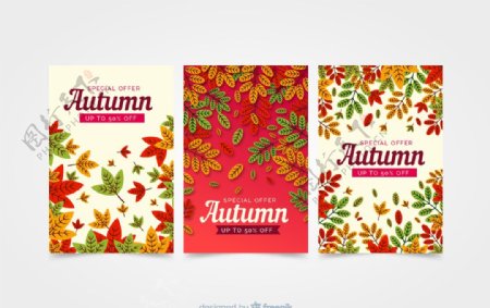 3款彩色质感秋季树叶促销卡