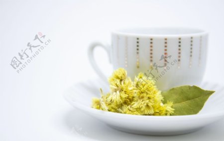 茶杯与菊花