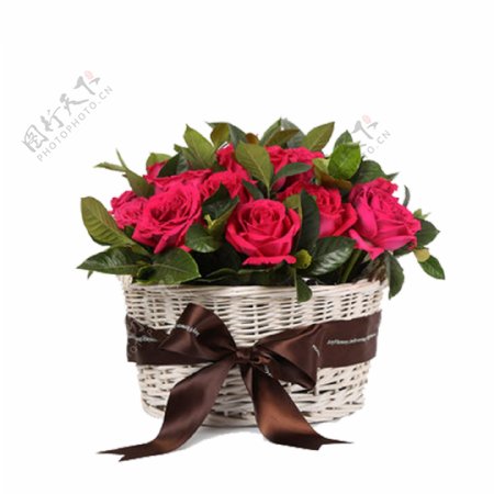 一篮子浪漫的玫瑰花