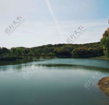 油画风景