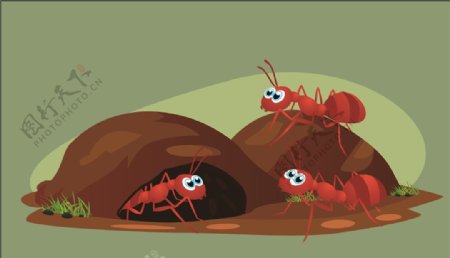 卡通蚂蚁