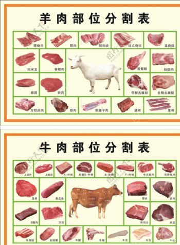 牛羊肉分割图