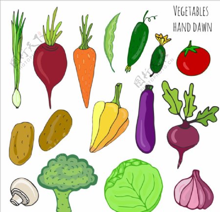 蔬菜矢量