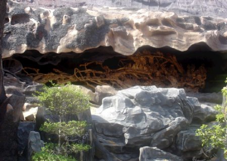 太湖文博园天然石洞树雕摄影