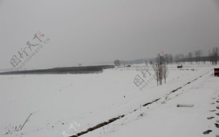 雪景冬天