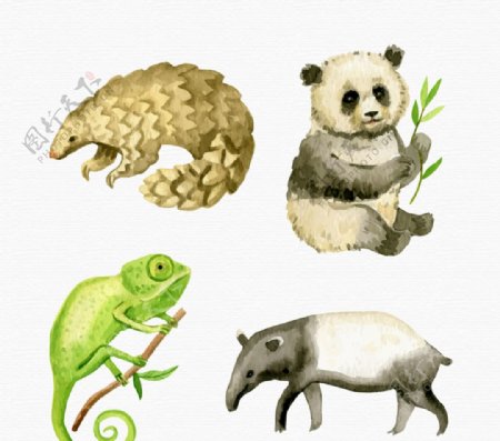 4款水彩绘野生动物矢量素材