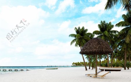 夏季沙滩海岸椰子树天空背景素材