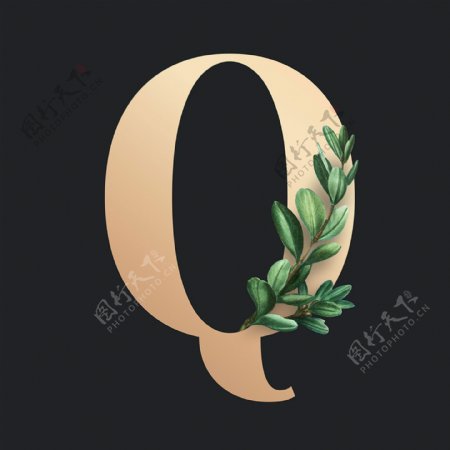 字母Q叶子