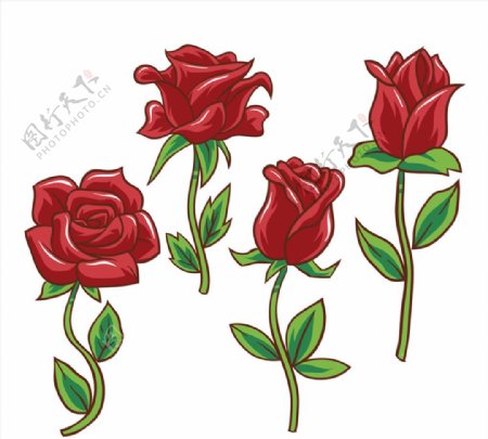 复古红色玫瑰花矢量素材
